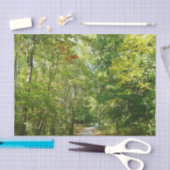 100周年ウッドメットパスIエリコットシティ自然 薄葉紙 (クラフト)