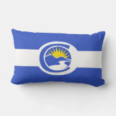 100周年記念州旗（コロラド州） ランバークッション (裏面)