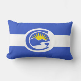 100周年記念州旗（コロラド州） ランバークッション