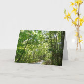 100年公園の森の道の日光 カード (黄色い花)