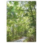 100年公園の森の道の日光 クリップボード (裏面)