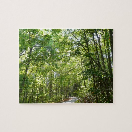 100年公園の森の道の日光 ジグソーパズル (横)