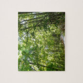 100年公園の森の道の日光 ジグソーパズル (縦)