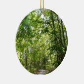 100年公園の森の道の日光 セラミックオーナメント (右)