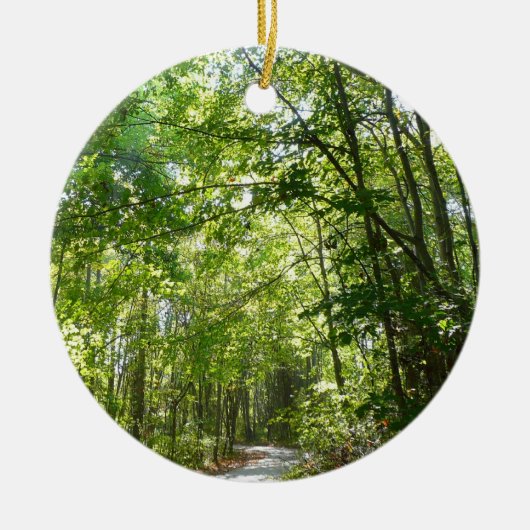 100年公園の森の道の日光 セラミックオーナメント (正面)