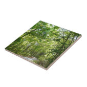 100年公園の森の道の日光 タイル (側面)