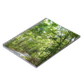 100年公園の森の道の日光 ノートブック (左側)