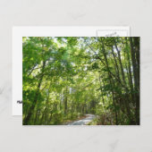 100年公園の森の道の日光 ポストカード (正面/裏面)