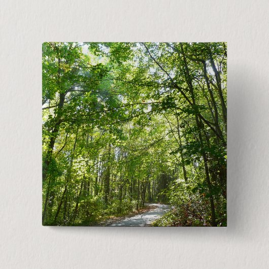 100年公園の森の道の日光 缶バッジ (正面)