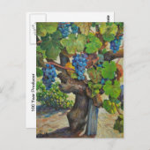 100年制作者はがき ポストカード (正面/裏面)