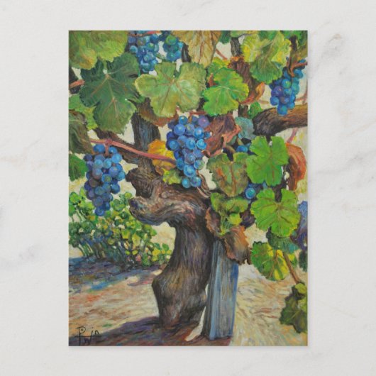 100年制作者はがき ポストカード (正面)