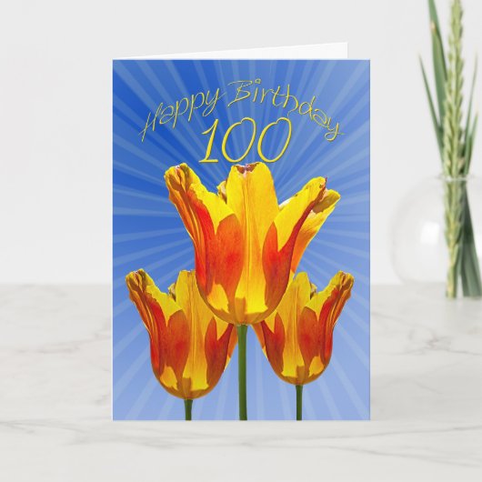 100誕生日カード、チューリップ満杯の日差し カード (正面)