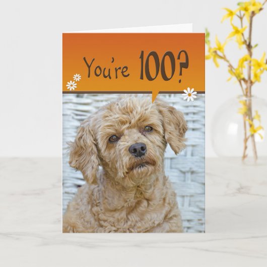 100誕生日 カード (黄色い花)