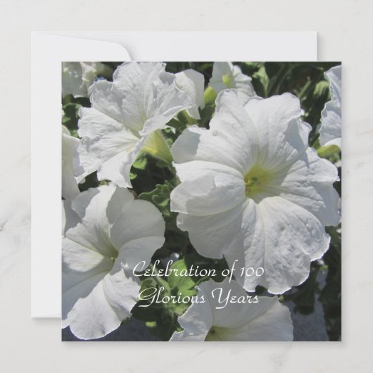 100誕生祝い 招待状 (正面)