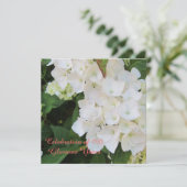 100誕生祝い 招待状 (スタンド正面)