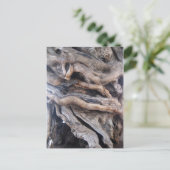 1000ジャーレテルオリベンバウム ポストカード (スタンド正面)