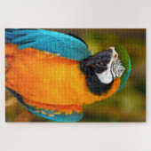 1000ピース威厳のあるMacaw ジグソーパズル (横)