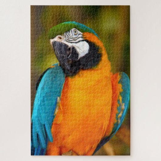 1000ピース威厳のあるMacaw ジグソーパズル (縦)