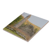 1000歳以上のアイリッシュラウンドタワー タイル (側面)