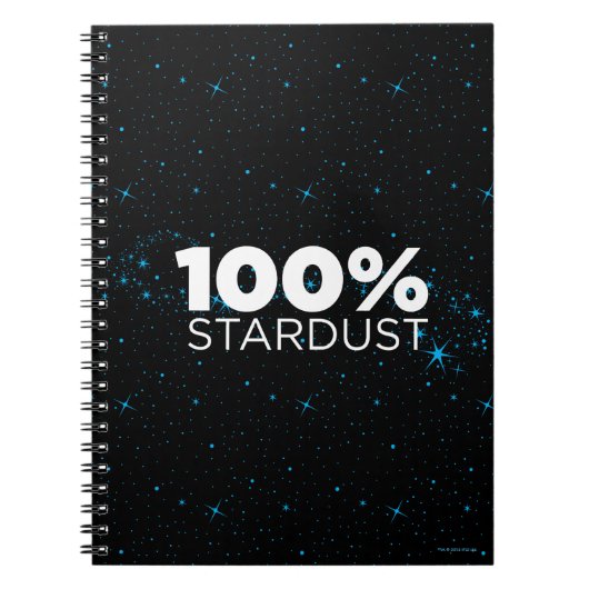 100%年のStardust ノートブック (正面)
