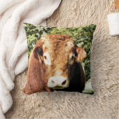 100.雄牛 クッション (ブランケット)