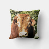 100.雄牛 クッション (裏面)