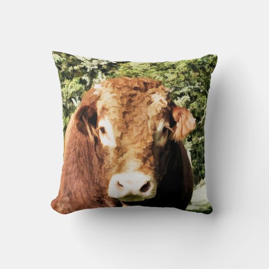 100.雄牛 クッション (正面)