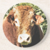 100.雄牛 コースター (正面)