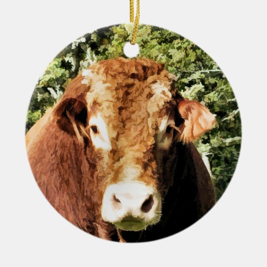 100.雄牛 セラミックオーナメント (正面)