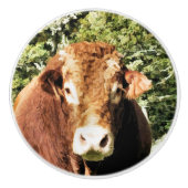 100.雄牛 セラミックノブ (正面)