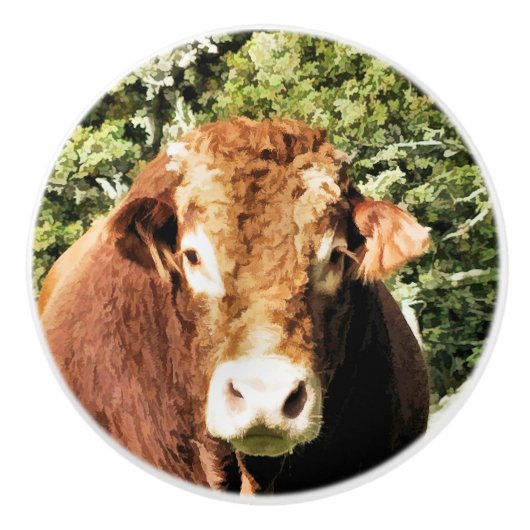 100.雄牛 セラミックノブ (正面)