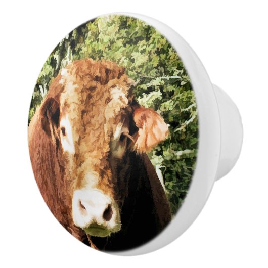 100.雄牛 セラミックノブ (右)