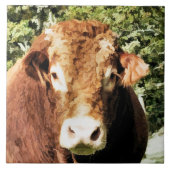 100.雄牛 タイル (正面)