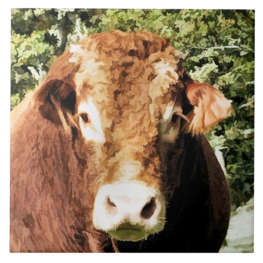 100.雄牛 タイル (正面)