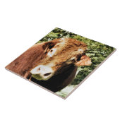 100.雄牛 タイル (側面)