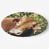 100.雄牛 ペーパープレート (アングル)