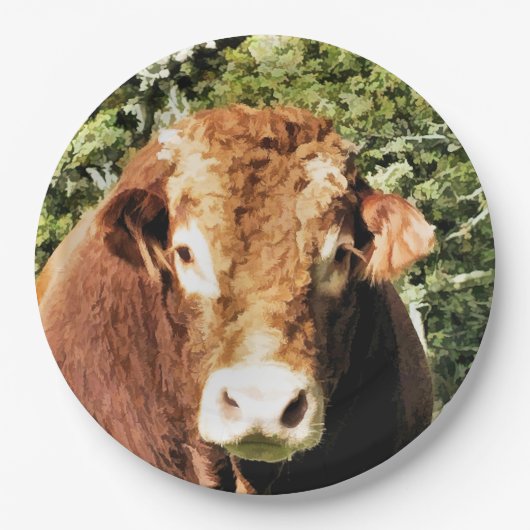 100.雄牛 ペーパープレート (正面)