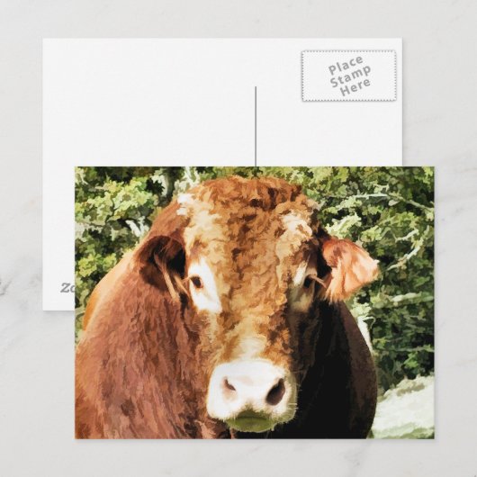 100.雄牛 ポストカード (正面/裏面)