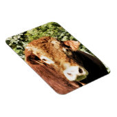 100.雄牛 マグネット (右側)