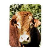 100.雄牛 マグネット (縦)