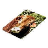 100.雄牛 マグネット (左側)