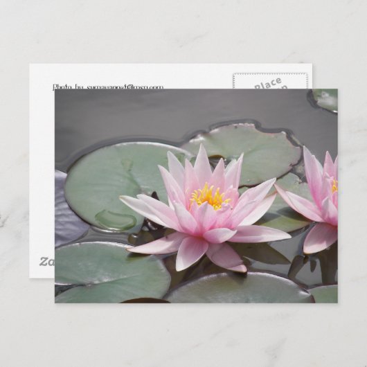 100_0085 ポストカード (正面/裏面)