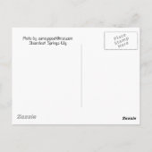 100_0085 ポストカード (裏面)