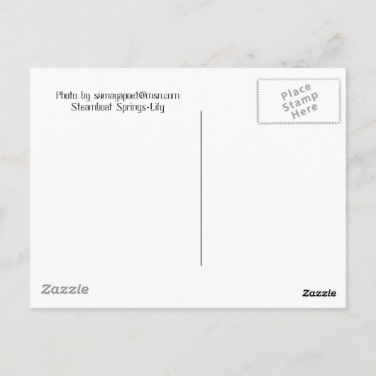 100_0085 ポストカード (裏面)