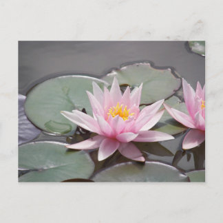 100_0085 ポストカード