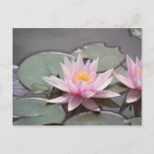 100_0085 ポストカード (正面)