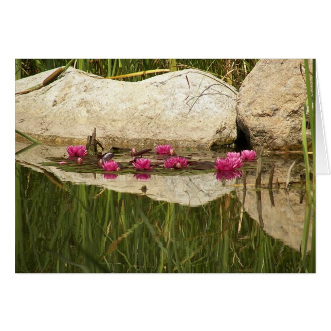 100_0088 (正面横)