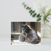 100_0305の黒い美しい、何を見ますか。 ポストカード (スタンド正面)