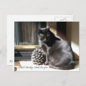 100_0305の黒い美しい、何を見ますか。 ポストカード (正面/裏面)