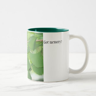 100_0337の得られた記憶か。 ツートーンマグカップ